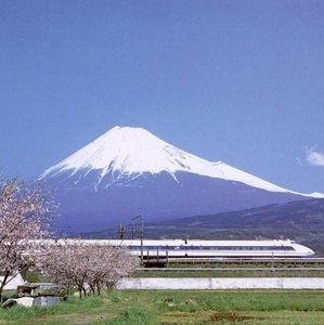 Meet your Posher, Bo